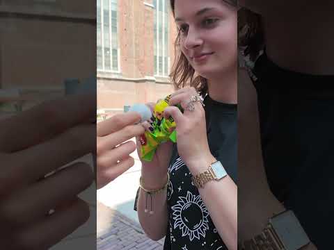 Asking Dutch to do ASMR