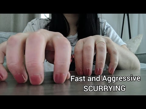 ASMR Fast & Aggressive Table Tapping + Scurrying up to the Camera + Anticipatory Tapping