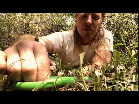 ASMR | How Barbers Cut Grass