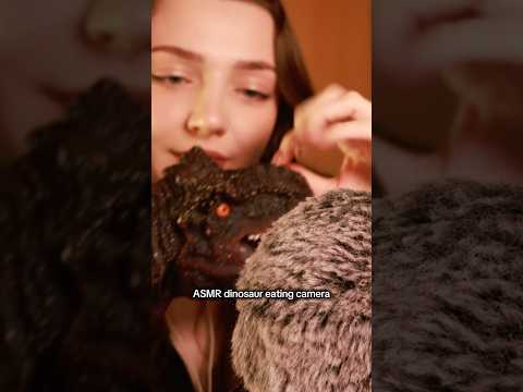 ASMR dinosaur eating camera #asmr #asmrsounds #asmrrelax #asmrsleep #relax #tingles #whispers