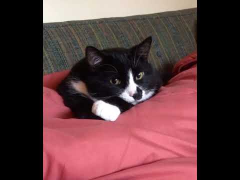Just relaxing