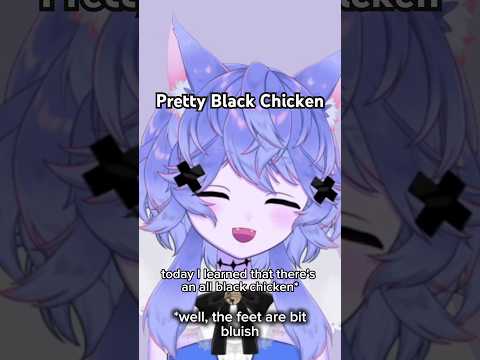 Ayam Cemani Chicken and Silkie Chicken