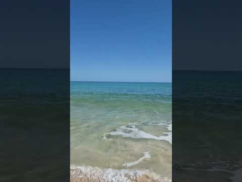 Delightful Oceanic Sensory Experience🌊🐚
