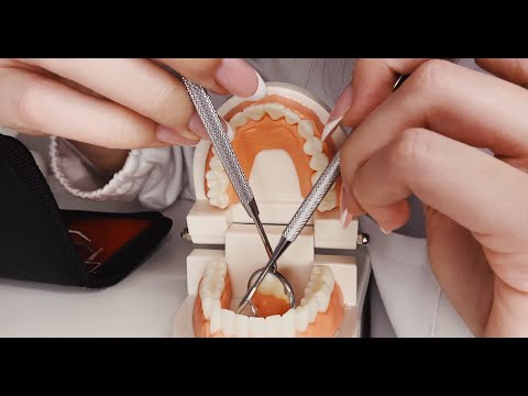 ASMR | DENTIST ROLE PLAY