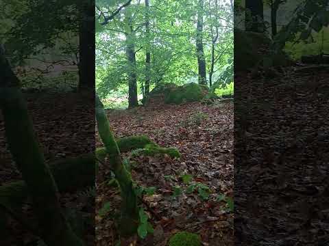 New sounds for new video