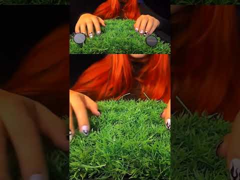 This Sound Is So Satisfying… 😍 | ASMRScratching (No Talking) #tingles #shorts #asmr