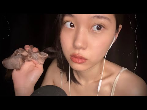 ASMR Hair band & Hair Scratching Sounds✨