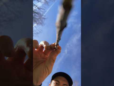 Up close tracing #asmr #raeasmr #visualasmr #upclose #tracing #outside #tracingasmr #asmrtracing