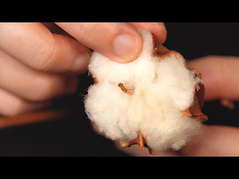 ASMR ☁️☁️ 빵실빵실 목화솜 만지고 뽑는 소리 / 잠오는 팅글 수면(No Talking)