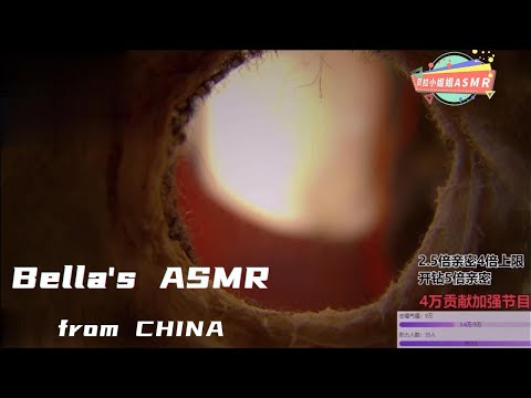【贝拉小姐姐 ASMR】高能小孔成像，略略略，纯享