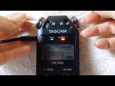 Q-tip ear cleaning ASMR for sleep w/the Tascam (*guaranteed tingles*)