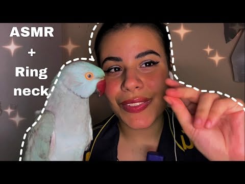 ASMR com Meu Ring Neck 🩵 Sons Relaxantes & Muito Carinho