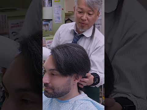 Barber Blends Hair  The Art of the Perfect Fade