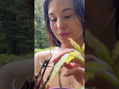 Making some sounds at the river🦎