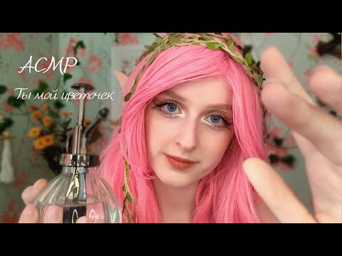 АСМР Эльфийка ухаживает за тобой | Ролевая игра | ASMR Roleplay You are my flower