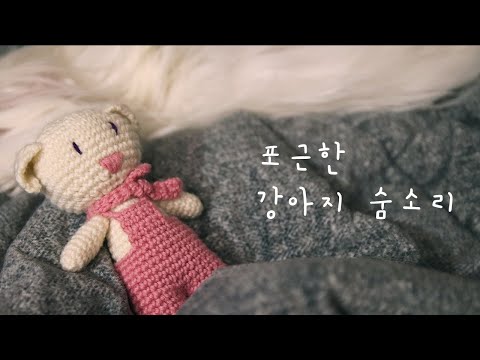 ASMR 포근한 강아지 숨소리 들으면서 자요 / Dog Breathing asmr