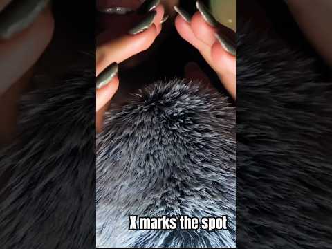 ASMR X Marks the Spot ❌ #asmr #shorts #asmrsounds #asmrvideo #asmrforsleep #xmarksthespot