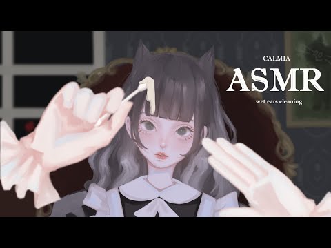 ୨୧⊹ASMR⊹୨୧  Deal with your WET EARS  | no talking | cotton swabs, both ears