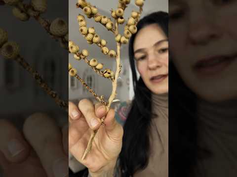 reiki asmr