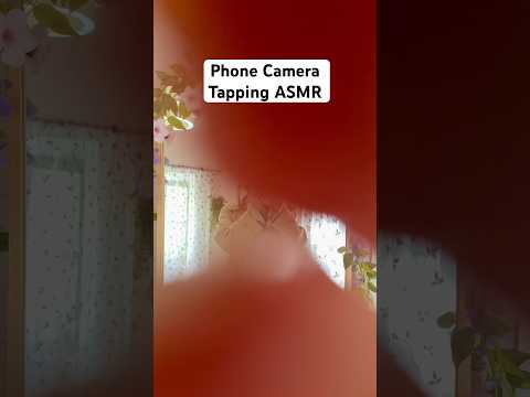 Phone camera tapping asmr Lofi 💅 join Instagram for more hanabee_asmr 💛