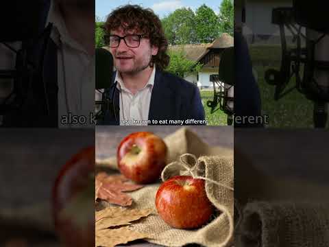 The Man Whose Hunger Was Horrifying | #asmr #asmrsounds #asmrvideo