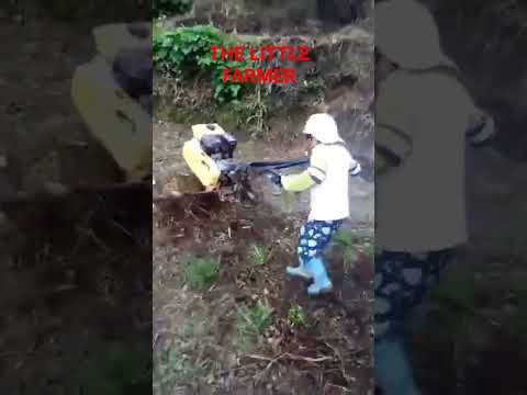 little farmer doing tractor#hardworker #farmer in Philippines #america #viralshorts #bananagirl#ofw