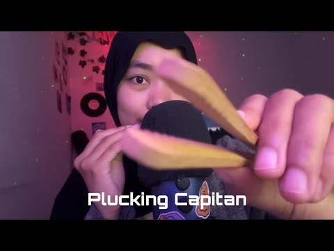 ASMR Plucking Capitan — Plucking with Clamps 🪼✨