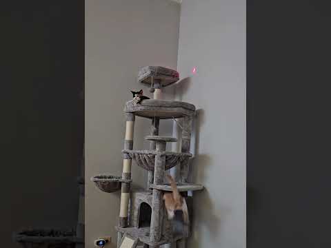 Jaydyn Playing