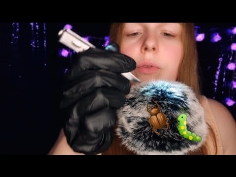 ASMR Lofi Bug Scratching and Plucking, Whispers🐛👀