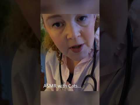 ASMR... with Cats #shorts