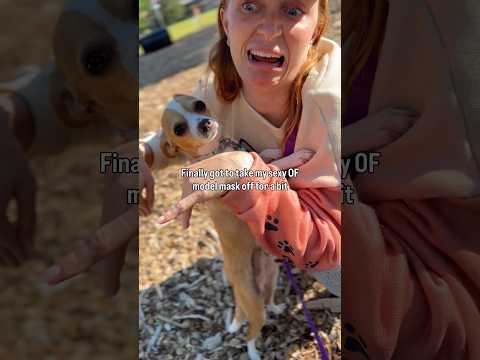 I act more like a dog than my dog