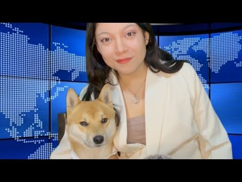 ASMR Late Night News 🐶🌙 | Soft Spoken, Personal Attention & Calm Updates