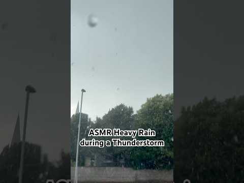 ASMR Heavy Rain during a Thunderstorm ⛈️