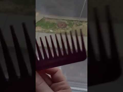 COMBING MY WINDOW.. weird but effective ASMR 💥 #asmr #short