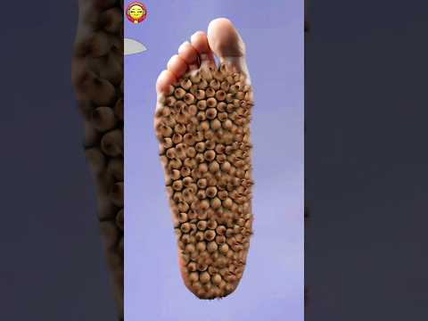 asmr 2d relaxing sounds 🤯 ~ mini wood toy-wood working art skill / hand crafted / #shortsfeed ~ 0035
