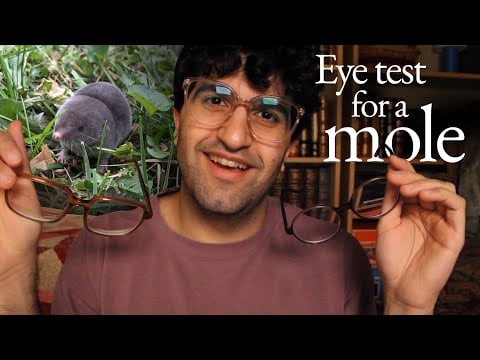 [ASMR] Eye Test and Glasses Trial (You're a Mole)
