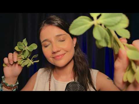 ASMR 🌿 Benzimento para você dormir mais rápido