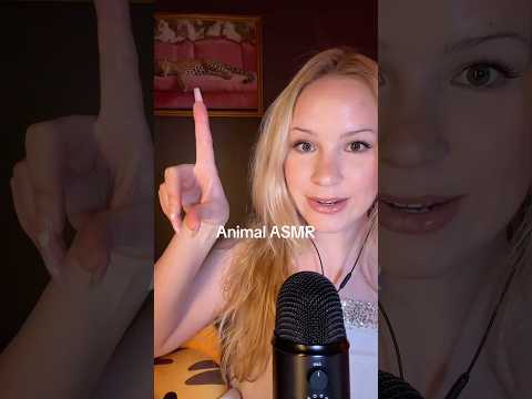 Animal ASMR (which sounds most realistic?) 🐶🦖🐸🐱🐥