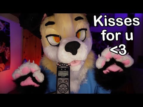 [Furry ASMR] Some Kisses Just For You 💛