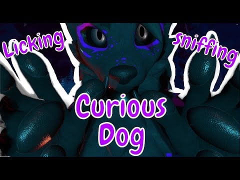 [FURRY ASMR] Curious dog tastes and plays with your ears! (Mouth sounds)