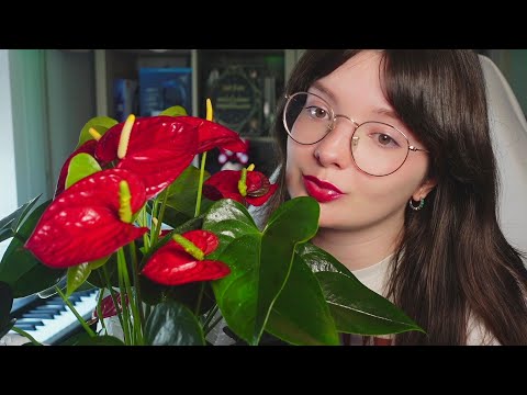 ASMR - POV ERES MI PLANTA Y TE CUIDO