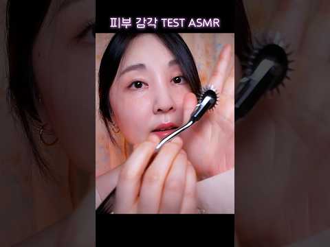 피부감각 TEST ASMR Sharp or Dull