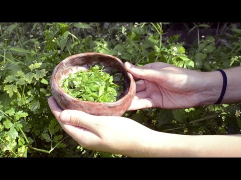 nature ASMR - chillin in the garden feat. Chickens