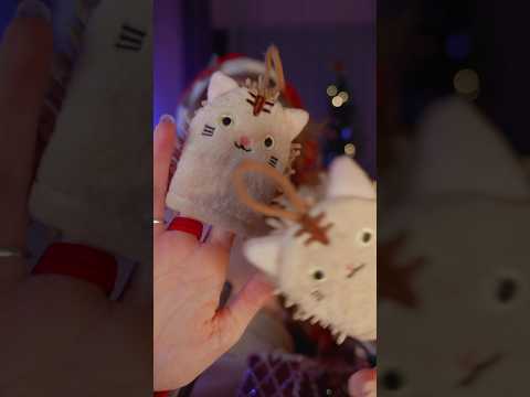 Gatitos te ronronean en la carita 😳❤️#ASMR #shorts