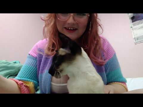 Pet Adoption ASMR Roleplay