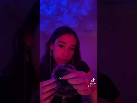 ASMR bug search!
