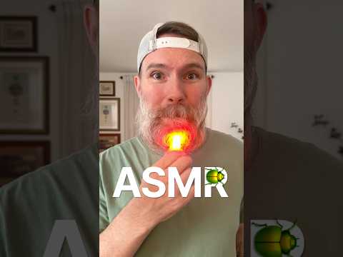 ASMR for the Bearded Baddies 🪲