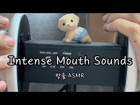 [ASMR] (No Talking) Intense Mouth Sounds | 빠른 입소리😗