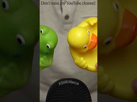 ASMR Peaceful Tapping On Dull Plastic Ducks #short