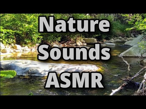 Nature Sounds Babbling Brook #ASMR (no talking for 17 mins) #SleepAid